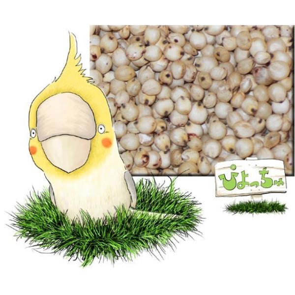 ���}�C���@2.5k����2