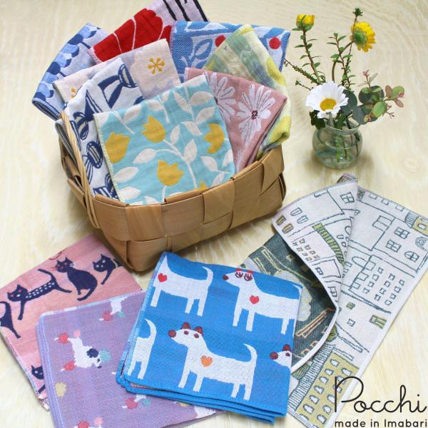 ^InJ` 3dK[[ Pocchi { 蕨 j Mtg v[g  w   z V Ԃ j zCgf[