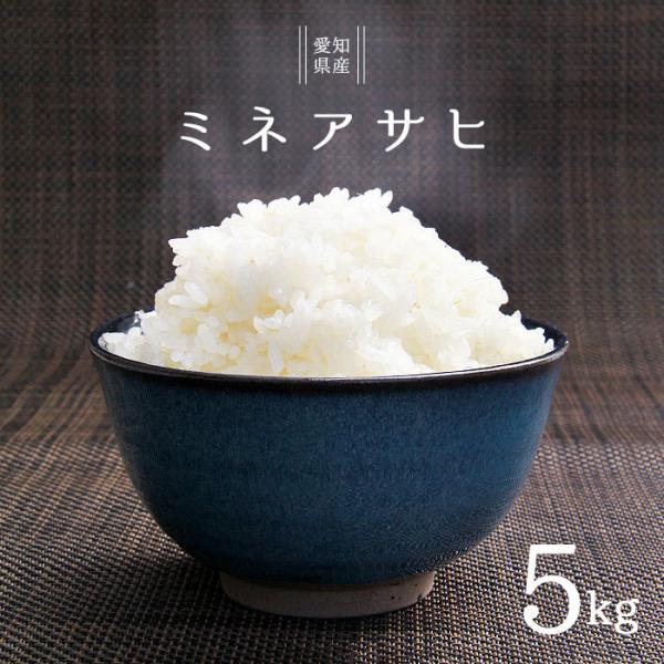 愛知県産 米の人気商品・通販・価格比較 - 価格.com 愛知県産 米の人気商品・通販・価格比較 - 価格.com