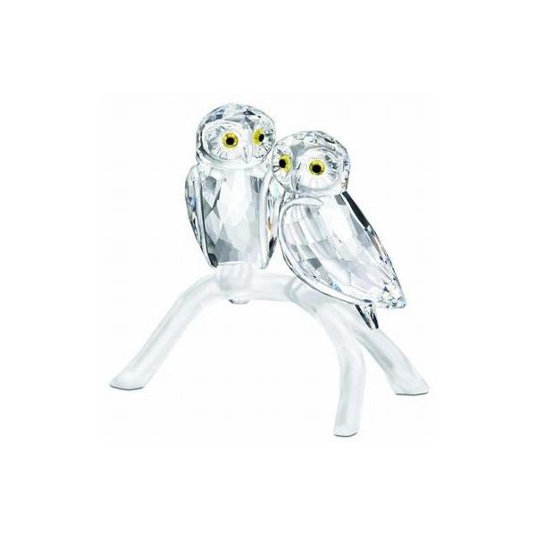 XtXL[ Swarovski NX^ wtNEx 1003312