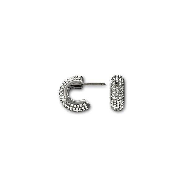 /極上品/スワロフスキー ブラック ビーズアクセ ピアス 2連 SWAROVSKI - スワロフスキーブラックスワンの2wayピアスの通販
