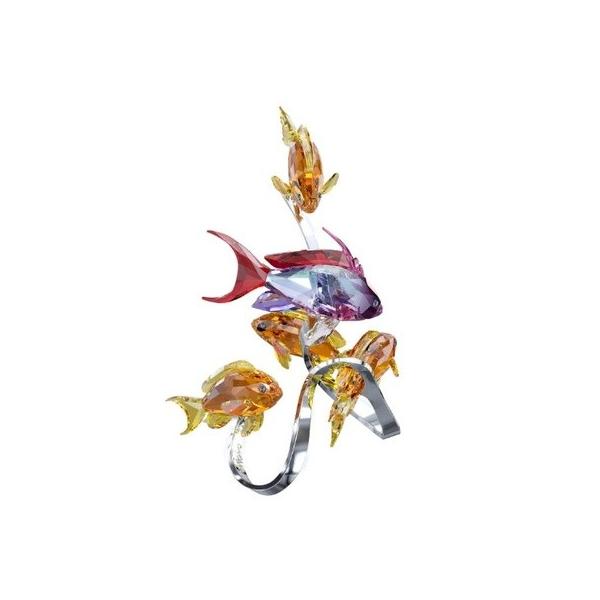 XtXL[ Swarovski NX^ wV[S[fB[Y, Topazx 1083778