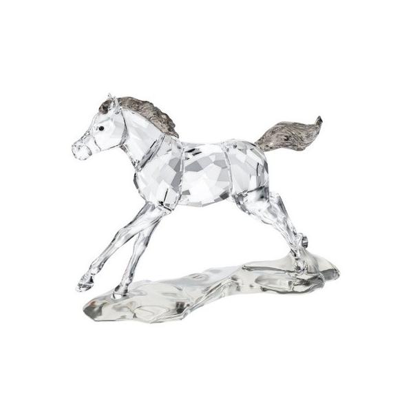 SWAROVSKI（スワロフスキー） 『SCS ヤングホース』 5004729