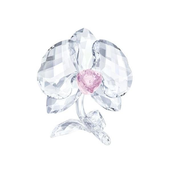 SWAROVSKI（スワロフスキー） 『オーキッド』 5301562