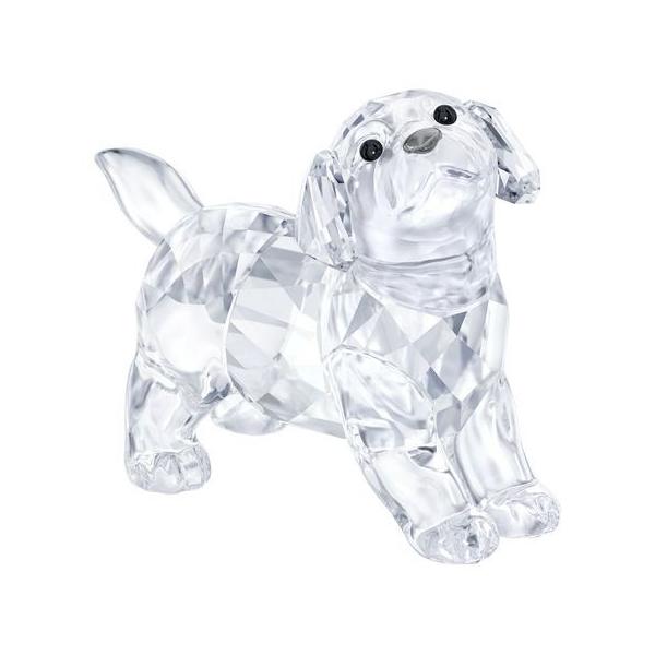 XtXL[ Swarovski u  uh[go[̎q(X^fBO) 5400141