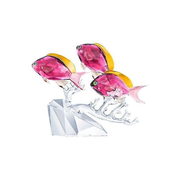 スワロフスキー クリスタル 3匹の南洋魚 廃番品