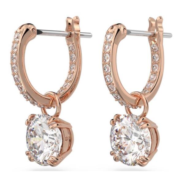 planetarium_5639975_1