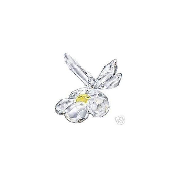 XtXL[ Swarovski NX^ IuWF  wԂƃ`Ex 840190