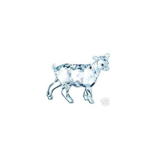 XtXL[ Swarovski NX^ wqMx 894593