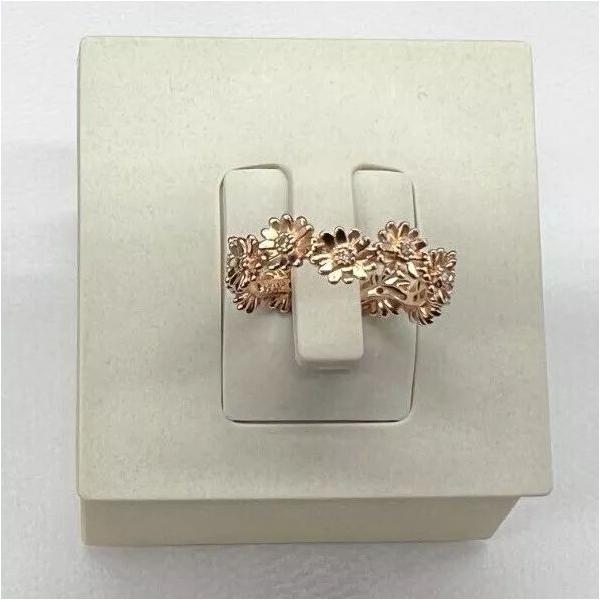 planetarium_pandoraring007-3_1_d_20241216183133