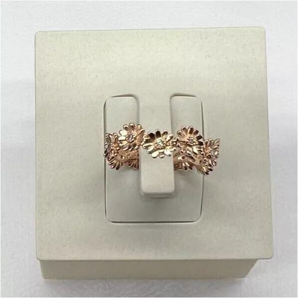 planetarium_pandoraring007-3_2_d_20241216183140