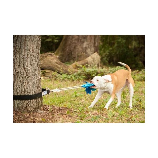 squishy face studio flirt pole