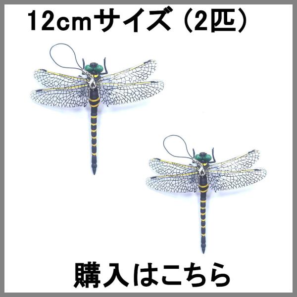22秋冬新作 7月入荷予定 オニヤンマ トンボ 昆虫 動物 蚊 虫除け おもちゃ 模型 リアル 安全なピン付きpvc インテリア 置物 6cm級 3匹セット Aynaelda Com