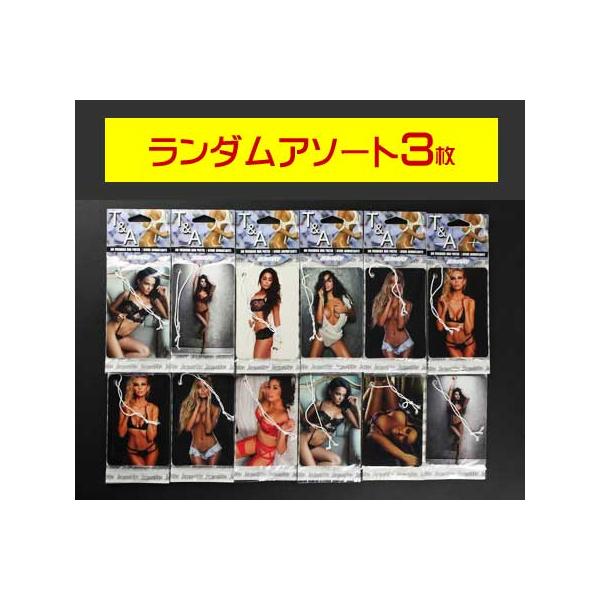 ピンナップガール エアフレッシュナー 芳香剤 車 吊り下げ おしゃれ セクシー アメリカン かっこいい かわいい アメリカン雑貨 T＆A 3枚セット