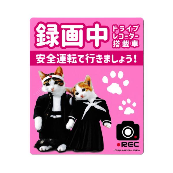 なめ猫 ステッカー かわいい レトロ 昭和 懐かしい 猫 グッズ ドライブレコーダーステッカー ピンク