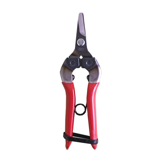 �A���X �̉��� 310 ���i�摜1
