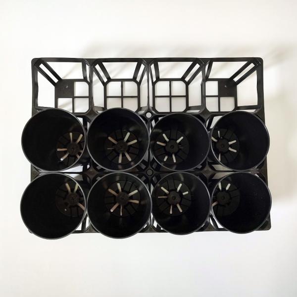 【システムトレー】ハーフサイズ3号鉢 12穴 1枚  多肉植物 塊根 コーデックストレーサイズ　縦・横・高さ：23.8cm・32.2cm・7cmセラアート3号と３号ロング用写真のようにピッタリ収まります。運搬、棚の管理などに便利です。園芸ト...