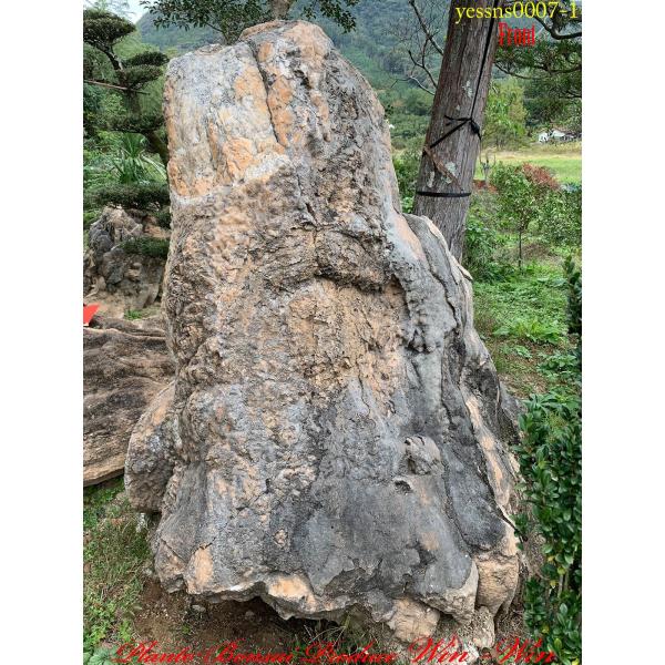 2019年 庭石 鍾乳石No7の魅力と選び方