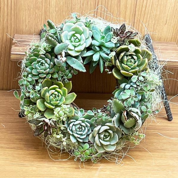 多肉植物のリース 直径約22cm 寄せ植え 母の日 プレゼント 多肉植物のリース 直径約22cm 寄せ植え 母の日 プレゼント