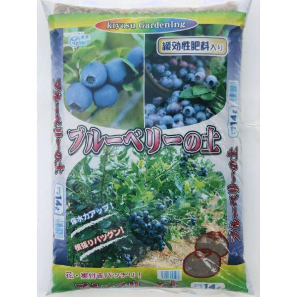 u[x[̓y 14L K[fjO ƒ؉ x_؉ ԒdÂ yÂ Aւ 엿 | ؗp  |{y  