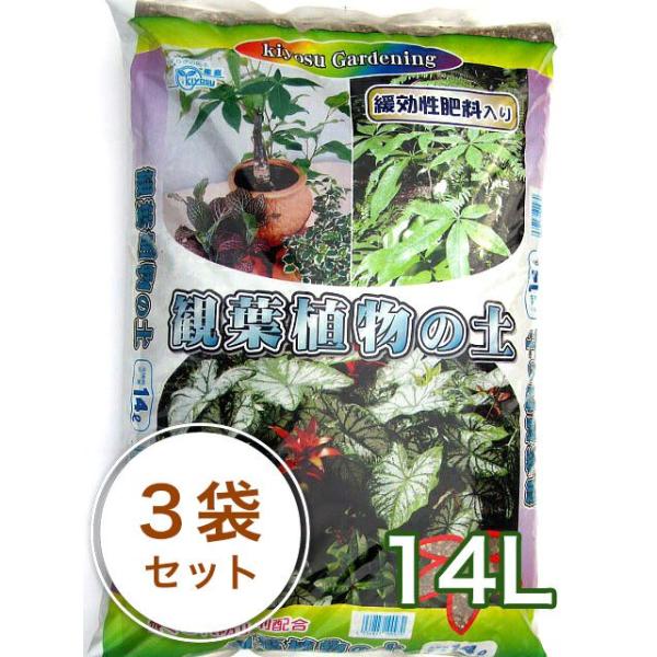 ϗtA̓y 14L^3܃Zbg K[fjO ƒ؉ x_؉ ԒdÂ yÂ Aւ 엿 | ؗp  |{y  