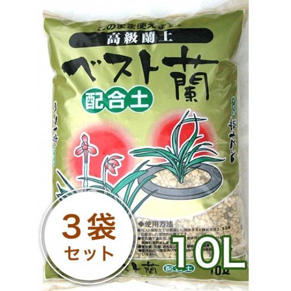 t̓yyxXgzyz 10L^3܃Zbg K[fjO ƒ؉ x_؉ ԒdÂ yÂ Aւ 엿 | ؗp  |{y  