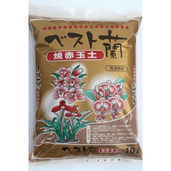 ［新］焼赤玉土【ベスト蘭】10L　蘭 東洋蘭 春蘭 山野草 化粧砂 メダカ 焼赤 ガーデニング 家庭菜園 ベランダ菜園 花壇づくり 土づくり 植え替え
