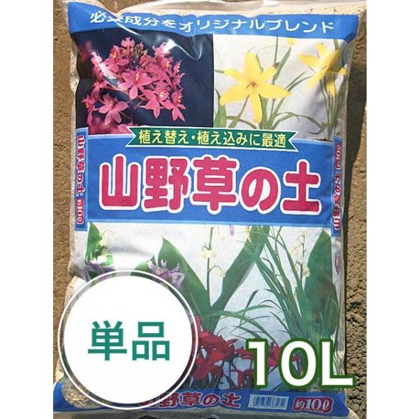 R쑐̓y 10L K[fjO ƒ؉ x_؉ ԒdÂ yÂ Aւ 엿 | ؗp  |{y  