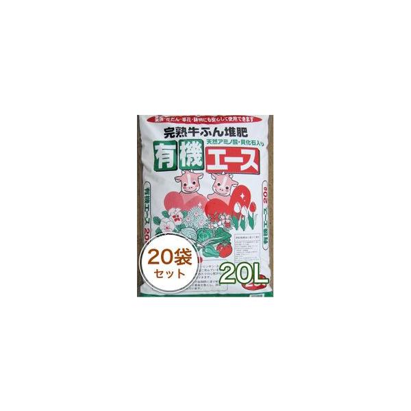 nӂ͔ L@G[X 20L^20܃Zbg K[fjO ƒ؉ x_؉ ԒdÂ yÂ Aւ 엿 | ؗp  |{y  