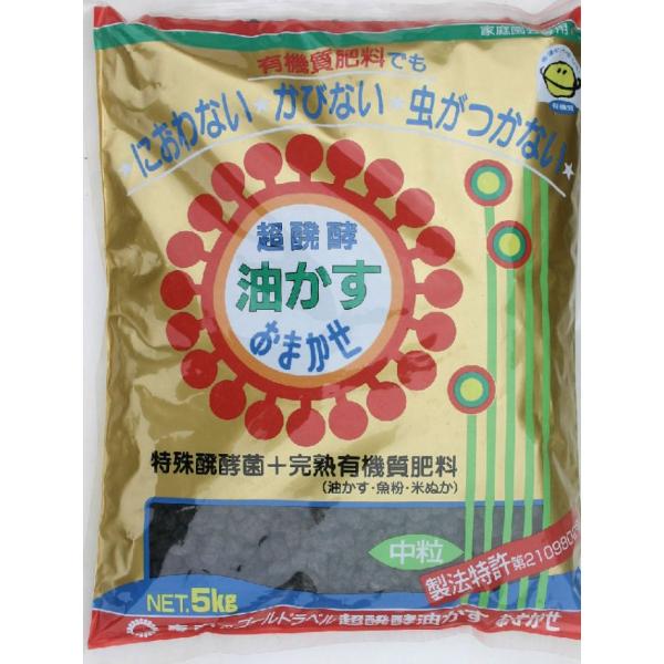 ȂIyyE܂z 5kg K[fjO ƒ؉ x_؉ ԒdÂ yÂ Aւ 엿 | ؗp  |{y  