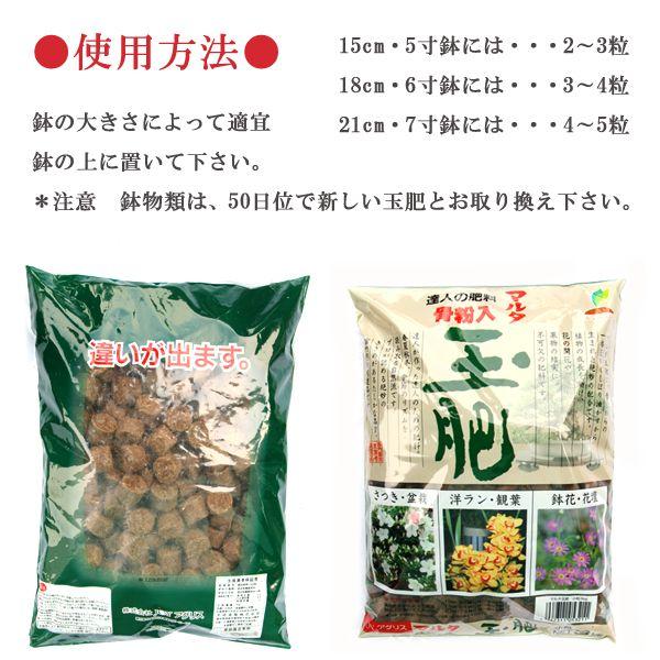 玉肥 盆栽肥料 小粒 3kg Buyee 日本代购平台 产品购物网站大全 Buyee一站式代购bot Online