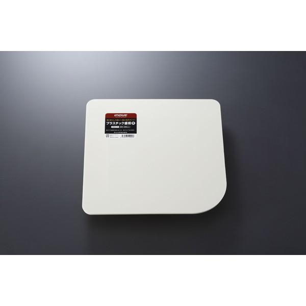 H INOUE 11010 vX`bN R (ؐ)