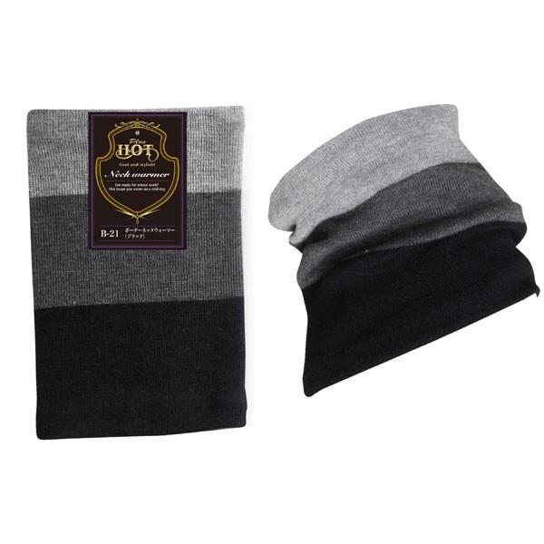 ӂ ~ B-21 {[_[lbNEH[}[ A\[gJ[i1FFwsj