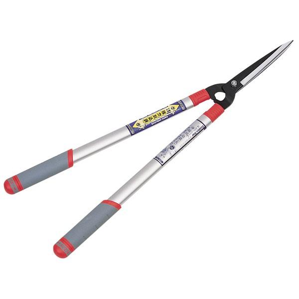 L{V  #2021 V^A~ Lk ij A~pCv