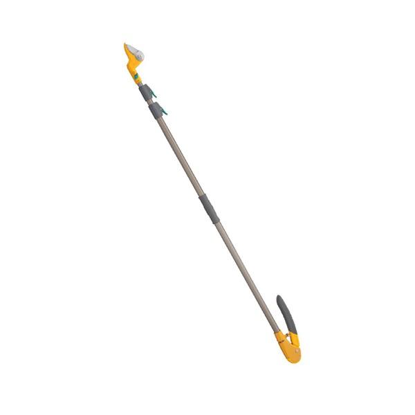 TV 531 rvbVJbg3iArn/1.4m`3.0mi17iLkj