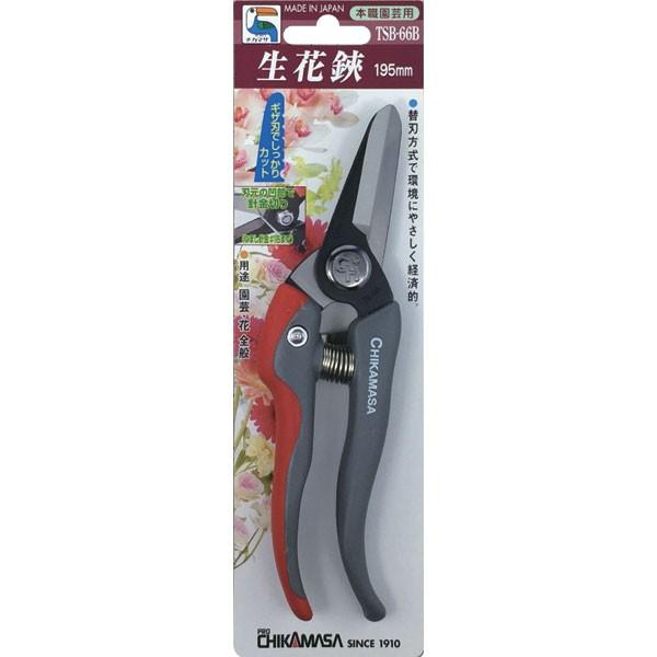 ߐ `J}T TSB-66B  uX^[obN