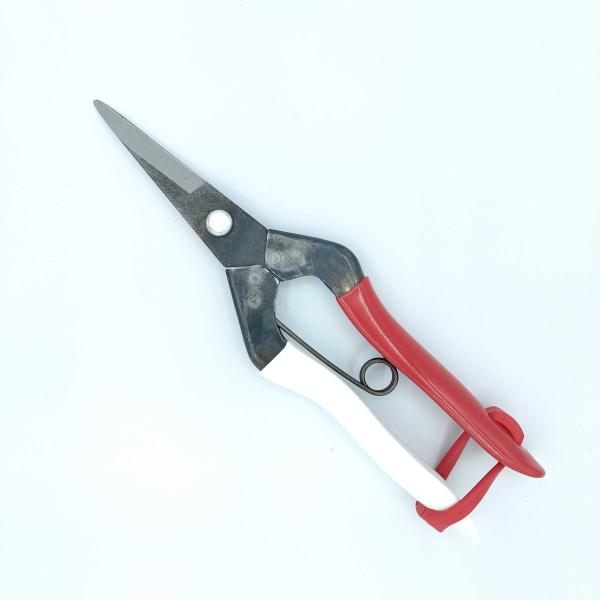 岡恒　芽切鋏（替バネ2本付）10セット 岡恒 芽切鋏（替バネ2本付） - メルカリ