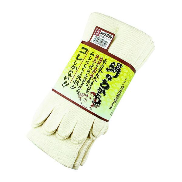 ӂ S-290 ̂5{w3P ItzCg