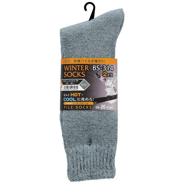 ӂ ~ BS-314 pC\bNX N  (2P) CgO[