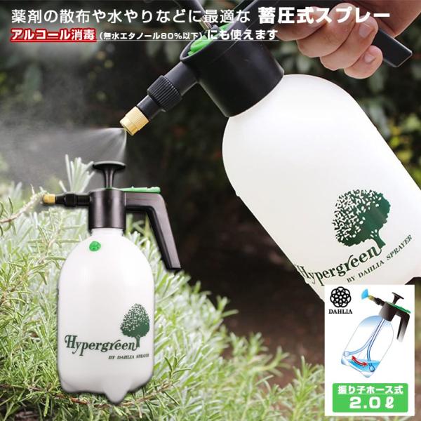 AR[łɂgXv[ #2200 Uqz[Xt~ S}CX^[iM[mYj 2.0L }n`Y