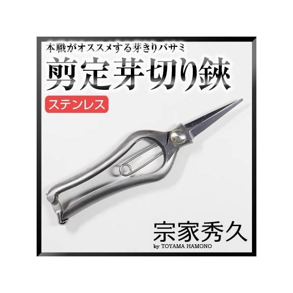 ORn @ƏGv NO.517 XeX