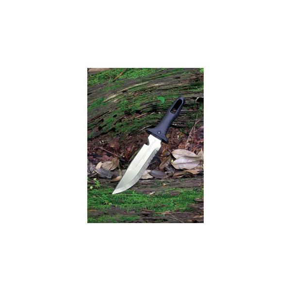 xcn m NO.811 S(NJ^iS)