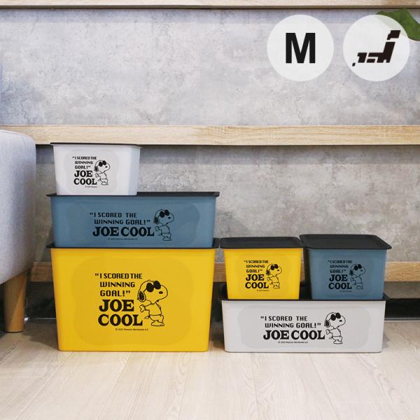 錦化成 スヌーピー コレクトBОX M 日本製 積み重ね キッチン