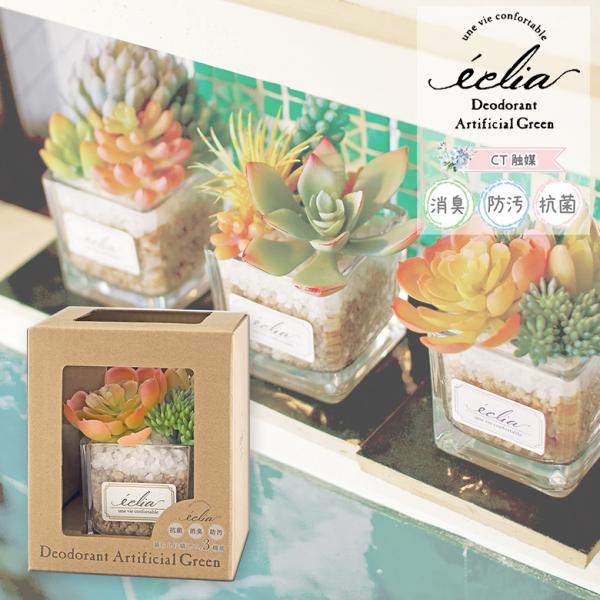 LV} GNA LA[eBtBVO[ pXe STCY ECLIA ARTIFICIAL GREEN tFCNO[