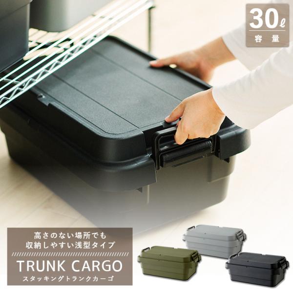 plantz_risu-tc-50s-low
