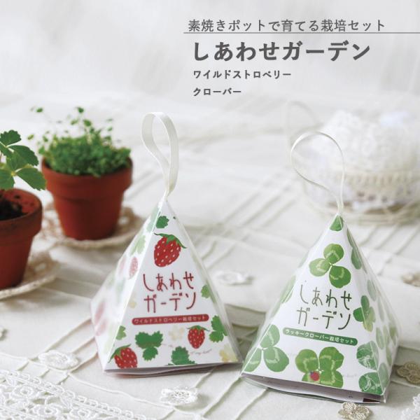 V| GD-347 킹K[f (ChXgx[܂̓N[o[)