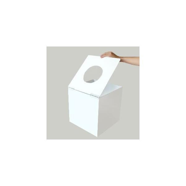 t^ANI / zCg(s)  / 싞t / 30cm/ s31.5cm/ 30.6cm