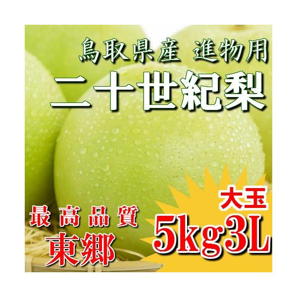 鳥取産　20世紀梨　14玉 楽天市場】二十世紀梨（20世紀梨）5kg詰（14玉前後入） 鳥取県産