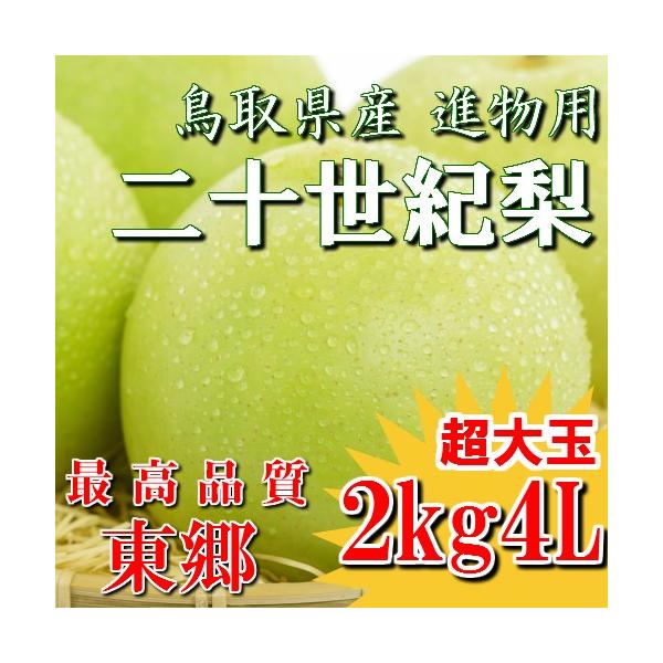 二十世紀梨 20世紀梨 鳥取県 東郷 赤秀 2kg 4L(5玉） 送料無料 超大玉 贈答用 進物用 果物 お取り寄せ