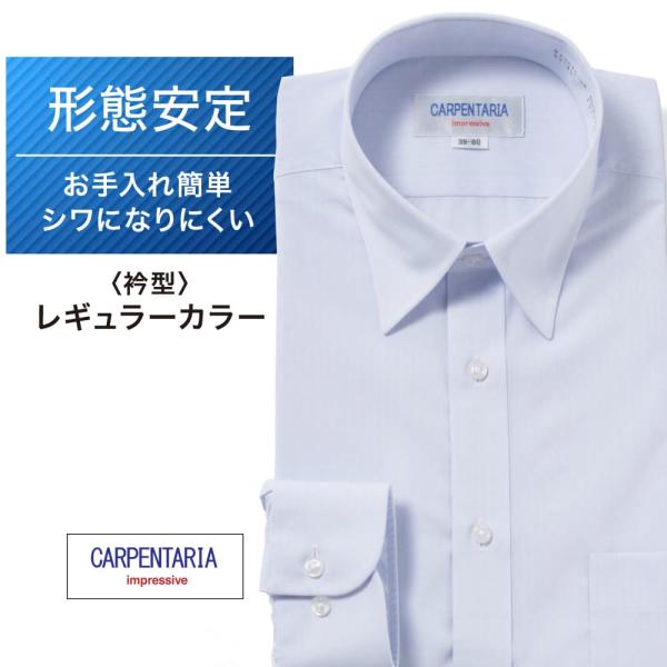 ワイシャツ メンズ 長袖 形態安定 形状記憶 標準型 CARPENTARIA レギュラーカラー DAPC15-38